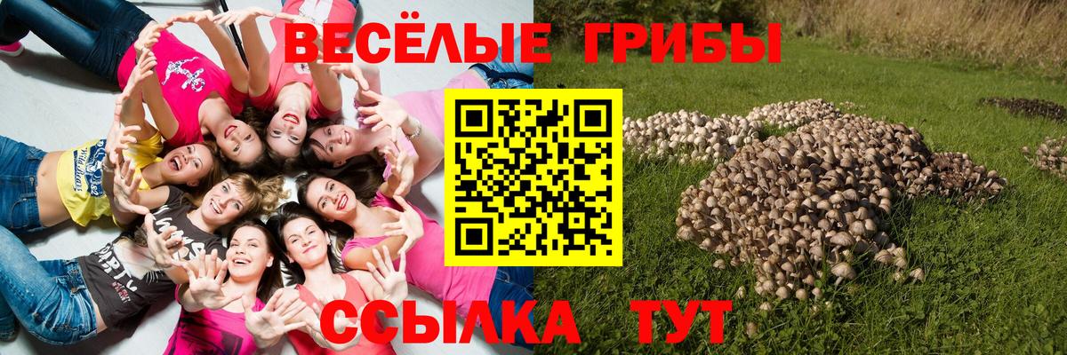 Галлюциногенные грибы Magic Shrooms  Псилоцибиновые грибы мицелий  Вход с VPN  Губкинский 